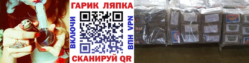 ГАШ гарик  Александров 