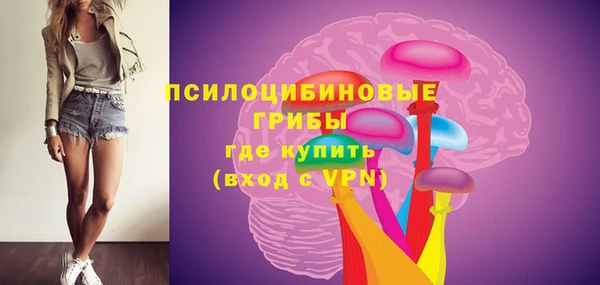 дживик Россошь