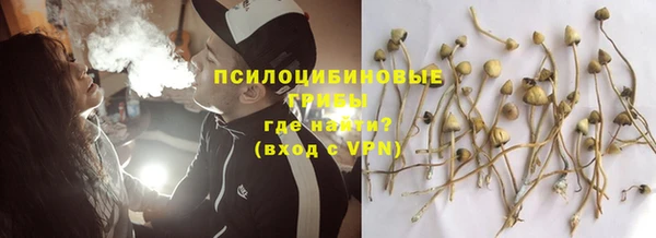 a pvp Рославль