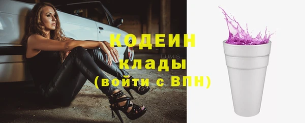 дживик Россошь