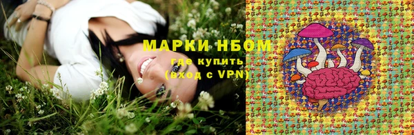 дживик Россошь