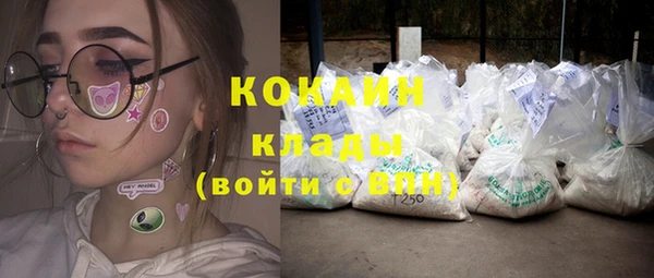 дживик Россошь