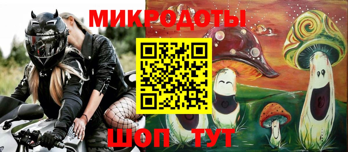 Галлюциногенные грибы Cubensis  закладки  Александров  Галлюциногенные грибы Psilocybine cubensis 